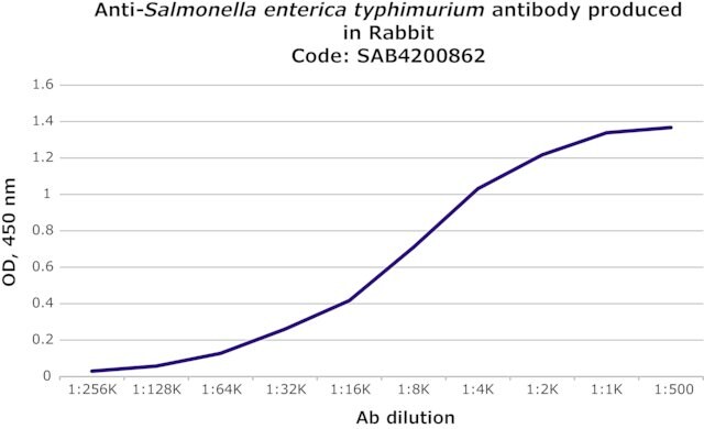 Anti-Salmonella enterica typhimurium antibody produced in rabbit
